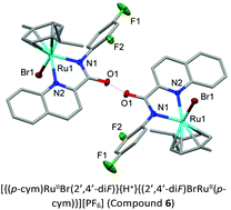 Graphical abstract: Cytotoxic hydrogen bridged ruthenium quinaldamide complexes showing induced cancer cell death by apoptosis