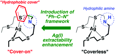 Graphical abstract: Coordination structure and extraction behavior of a silver ion with N-substituted-9-aza-3,6,12,15-tetrathiaheptadecanes: significant effect of Ph–C–N framework on the extractability