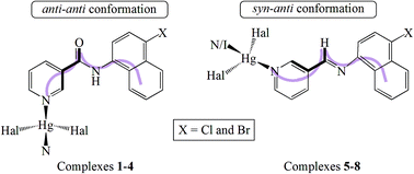 Graphical abstract: Conformational variety of flexible mono-dentate ligands in coordination compounds: influence of π-involving interactions