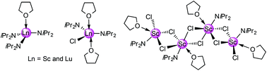 Graphical abstract: Synthesis and structural diversity of trivalent rare-earth metal diisopropylamide complexes