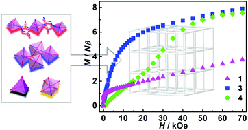 Graphical abstract: Different magnetic responses observed in CoII4, CoII3 and CoII1-based MOFs