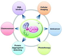 Graphical abstract: Ruthenium(ii) complexes with dppz: from molecular photoswitch to biological applications