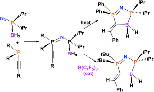 Graphical abstract: PNPCB heterocycles via thermal and Lewis acid catalyzed trans-hydroborations