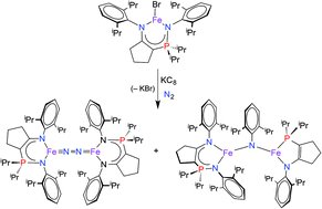 Graphical abstract: Low coordinate iron derivatives stabilized by a β-diketiminate mimic. Synthesis and coordination chemistry of enamidophosphinimine scaffolds to generate diiron dinitrogen complexes