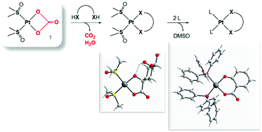 Graphical abstract: Bis(dimethylsulfoxide)carbonateplatinum(ii), a new synthon for a low-impact, versatile synthetic route to anticancer Pt carboxylates