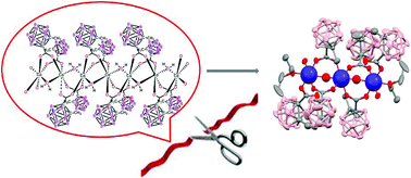 Graphical abstract: Carving a 1D CoII-carboranylcarboxylate system by using organic solvents to create stable trinuclear molecular analogues: complete structural and magnetic studies