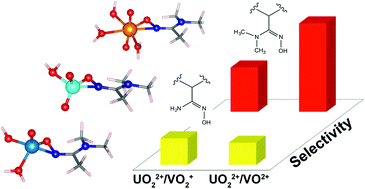 Graphical abstract: Assessing ligand selectivity for uranium over vanadium ions to aid in the discovery of superior adsorbents for extraction of UO22+ from seawater