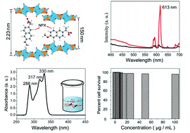 Graphical abstract: Fabrication of a nano-drug delivery system based on layered rare-earth hydroxides integrating drug-loading and fluorescence properties