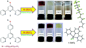 Graphical abstract: Metallogel formation in aqueous DMSO by perfluoroalkyl decorated terpyridine ligands