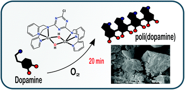 Graphical abstract: Dopamine polymerization promoted by a catecholase biomimetic CuII(μ-OH)CuII complex containing a triazine-based ligand