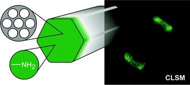 Graphical abstract: Functionalization of arrays of silica nanochannels by post-condensation