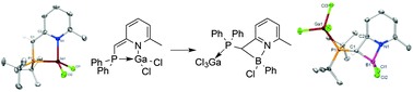 Graphical abstract: Versatile coordination of a reactive P,N-ligand toward boron, aluminum and gallium and interconversion reactivity