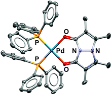 Graphical abstract: syn-Bimane as a chelating O-donor ligand for palladium(ii)