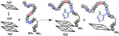 Graphical abstract: Interactions between heme and tau-derived R1 peptides: binding and oxidative reactivity