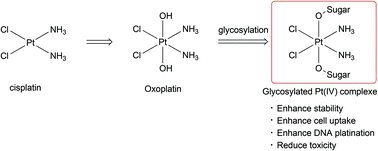 Graphical abstract: Glycosylated platinum(iv) prodrugs demonstrated significant therapeutic efficacy in cancer cells and minimized side-effects