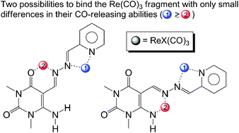 Graphical abstract: A combined experimental and DFT investigation on the structure and CO-releasing properties of mono and binuclear fac-ReI(CO)3 complexes with 5-pyridin-2-ylmethylene-amino uracils