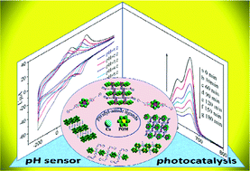 Graphical abstract: A series of Anderson-type polyoxometalate-based metal–organic complexes: their pH-dependent electrochemical behaviour, and as electrocatalysts and photocatalysts