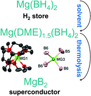 Graphical abstract: Organic derivatives of Mg(BH4)2 as precursors towards MgB2 and novel inorganic mixed-cation borohydrides