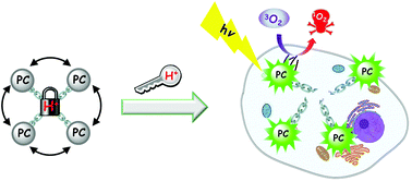 Graphical abstract: An acid-cleavable phthalocyanine tetramer as an activatable photosensitiser for photodynamic therapy