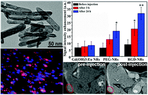 Graphical abstract: Fabrication of RGD-conjugated Gd(OH)3:Eu nanorods with enhancement of magnetic resonance, luminescence imaging and in vivo tumor targeting