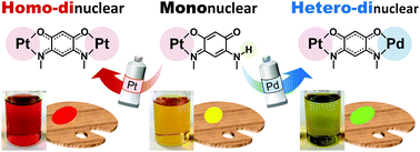 Graphical abstract: Colour tuning by the stepwise synthesis of mononuclear and homo- and hetero-dinuclear platinum(ii) complexes using a zwitterionic quinonoid ligand