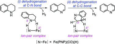 Graphical abstract: Mechanisms for dehydrogenation and hydrogenation of N-heterocycles using PNP-pincer-supported iron catalysts: a density functional study