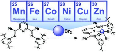 Graphical abstract: Structural and electronic trends for five coordinate 1st row transition metal complexes: Mn(ii) to Zn(ii) captured in a bis(iminopyridine) framework