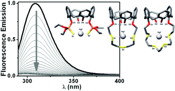 Graphical abstract: Sulphur-rich functionalized calix[4]arenes for selective complexation of Hg2+ over Cu2+, Zn2+ and Cd2+