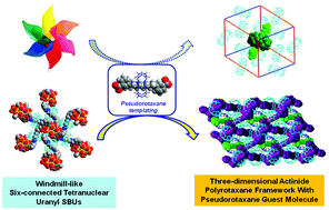 Graphical abstract: First three-dimensional actinide polyrotaxane framework mediated by windmill-like six-connected oligomeric uranyl: dual roles of the pseudorotaxane precursor