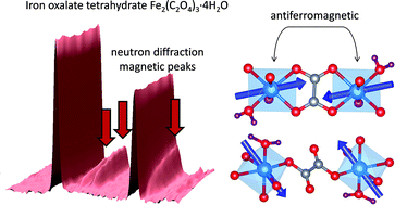 Graphical abstract: Oxalate-mediated long-range antiferromagnetism order in Fe2(C2O4)3·4H2O