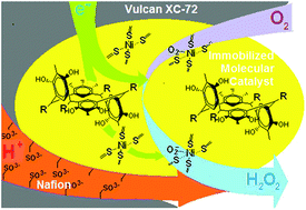 Graphical abstract: Oxygen reduction reaction catalyzed by nickel complexes based on thiophosphorylated calix[4]resorcinols and immobilized in the membrane electrode assembly of fuel cells