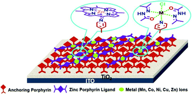 Graphical abstract: Bilayer structured supramolecular light harvesting arrays based on zinc porphyrin coordination polymers for enhanced photocurrent generation in dye sensitized solar cells