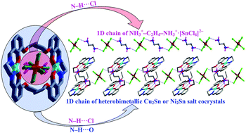 Graphical abstract: N–H⋯O and N–H⋯Cl supported 1D chains of heterobimetallic CuII/NiII–SnIV cocrystals