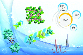 Graphical abstract: First quadruple-glycine bridging mono-lanthanide-substituted borotungstate hybrids