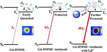 Graphical abstract: The effect of imidazole on the enhancement of gadolinium-porphyrin phosphorescence at room temperature