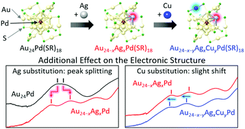 Graphical abstract: Tuning the electronic structure of thiolate-protected 25-atom clusters by co-substitution with metals having different preferential sites