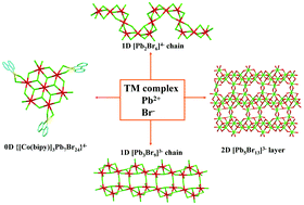 Graphical abstract: Transition metal complex directed lead bromides with tunable structures and visible light driven photocatalytic properties