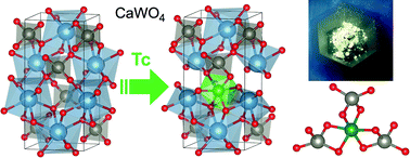 Graphical abstract: Technetium incorporation in scheelite: insights from first-principles