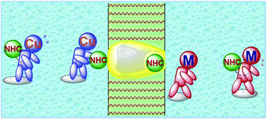 Graphical abstract: Copper(i)–NHC complexes as NHC transfer agents