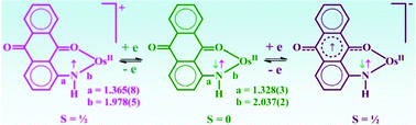 Graphical abstract: Arylamino radical complexes of ruthenium and osmium: dual radical counter in a molecule