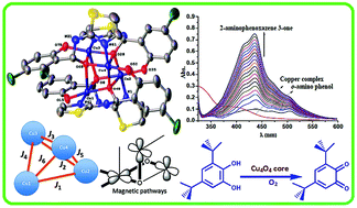 Graphical abstract: Cubane-like tetranuclear Cu(ii) complexes bearing a Cu4O4 core: crystal structure, magnetic properties, DFT calculations and phenoxazinone synthase like activity
