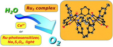 Graphical abstract: Catalyst–solvent interactions in a dinuclear Ru-based water oxidation catalyst