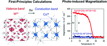 Graphical abstract: Photo-induced magnetization and first-principles calculations of a two-dimensional cyanide-bridged Co–W bimetal assembly