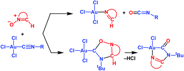 Graphical abstract: Diversity of reactivity modes upon interplay between Au(iii)-bound isocyanides and cyclic nitrones: a theoretical consideration