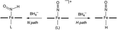 Graphical abstract: Over or under: hydride attack at the metal versus the coordinated nitrosyl ligand in ferric nitrosyl porphyrins