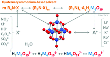 Graphical abstract: Extraction of Nb(v) by quaternary ammonium-based solvents: toward organic hexaniobate systems