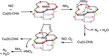 Graphical abstract: The mechanism of selective catalytic reduction of NOx on Cu-SSZ-13 – a computational study