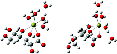 Graphical abstract: Calcium complexation and acid–base properties of l-gulonate, a diastereomer of d-gluconate