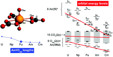 Graphical abstract: Bonding trends across the series of tricarbonato-actinyl anions [(AnO2)(CO3)3]4− (An = U–Cm): the plutonium turn