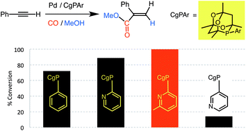 Graphical abstract: 2-Pyridyl substituents enhance the activity of palladium–phospha-adamantane catalysts for the methoxycarbonylation of phenylacetylene